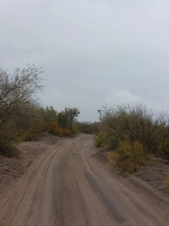 457879030_927256092762681_405986492202329874_n