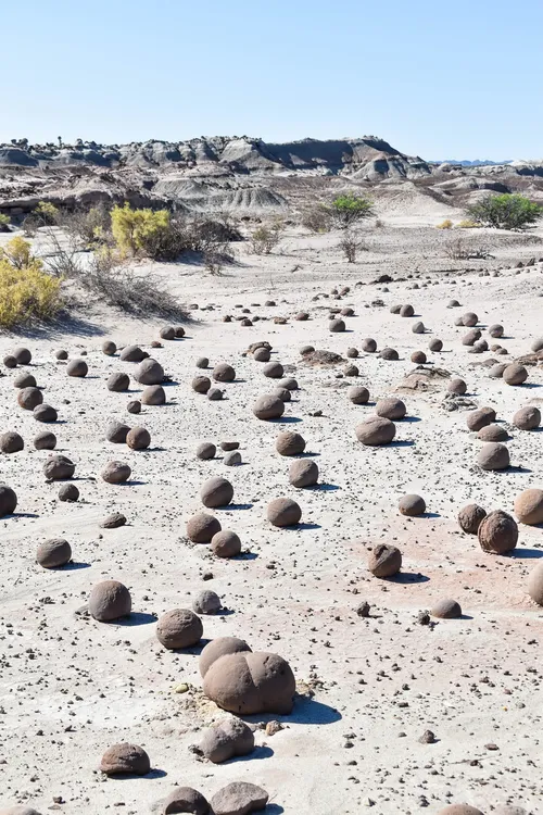 433857597_921237216668395_5739376443793525486_n