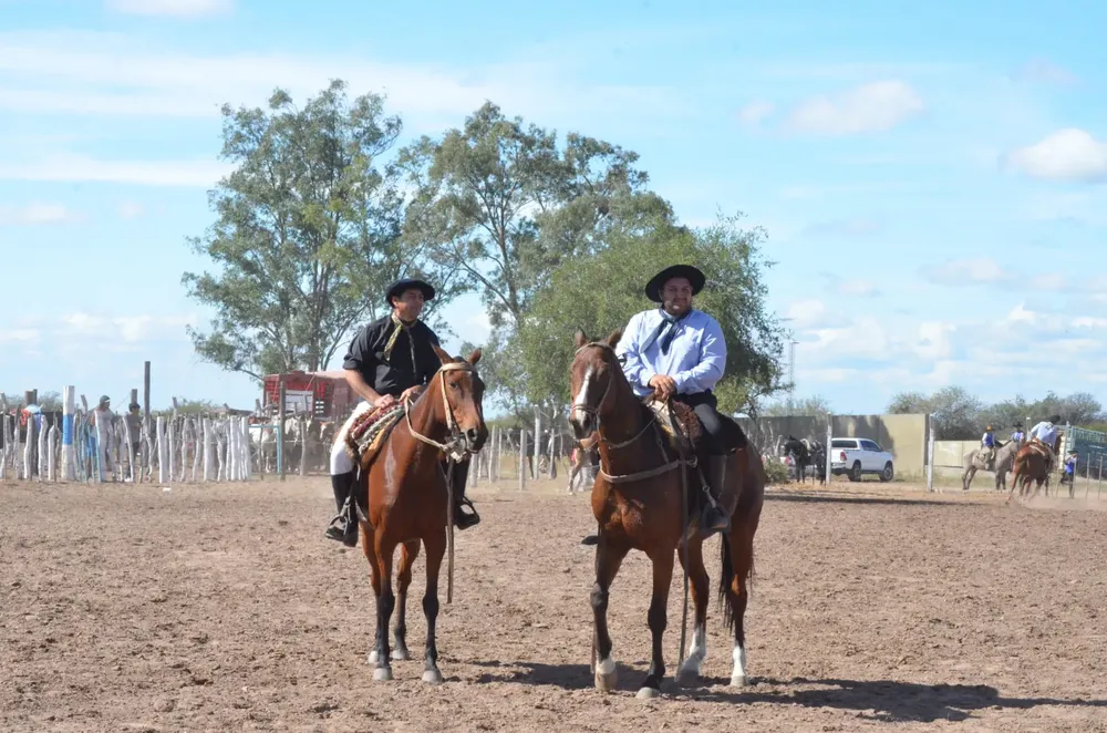 0d028f63-a171-4bdb-97d1-1563d68410dd