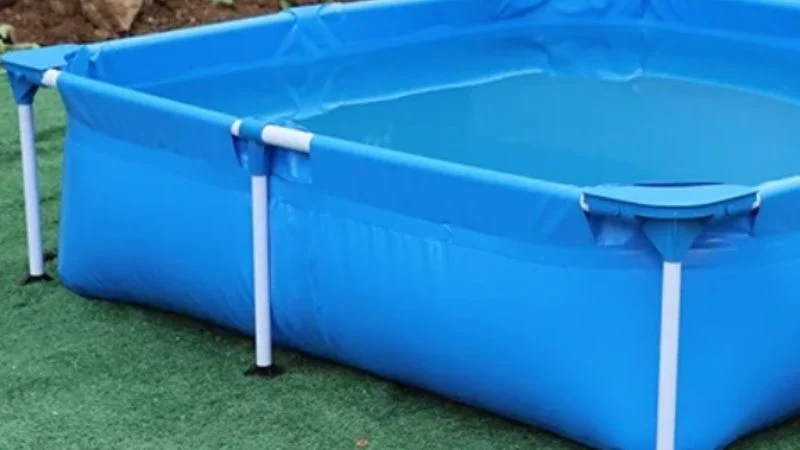 f800x450-395909_447355_5050