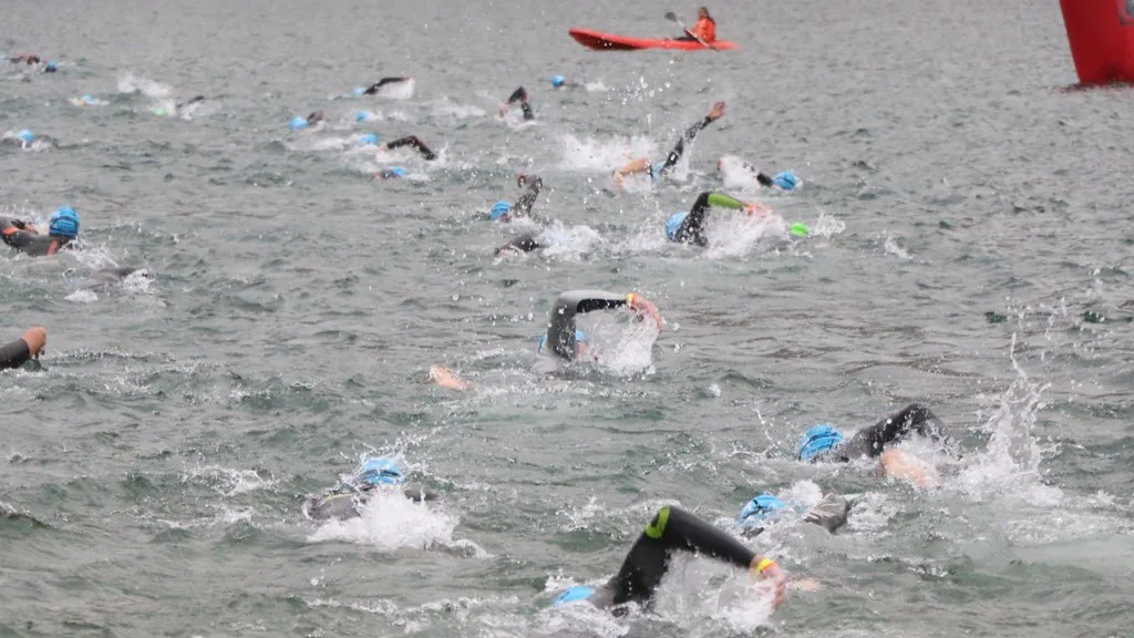 54434925723_0511c2d5d2_b