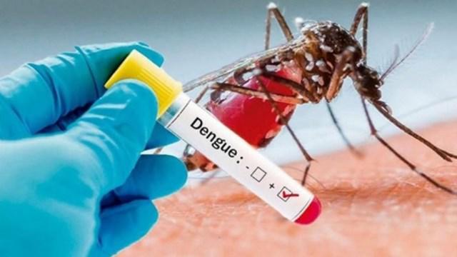 dengue-1 (1)