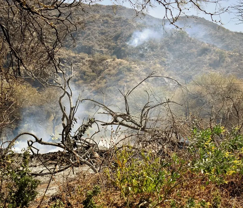 544344355_17890164525344414_4330001724931836535_n