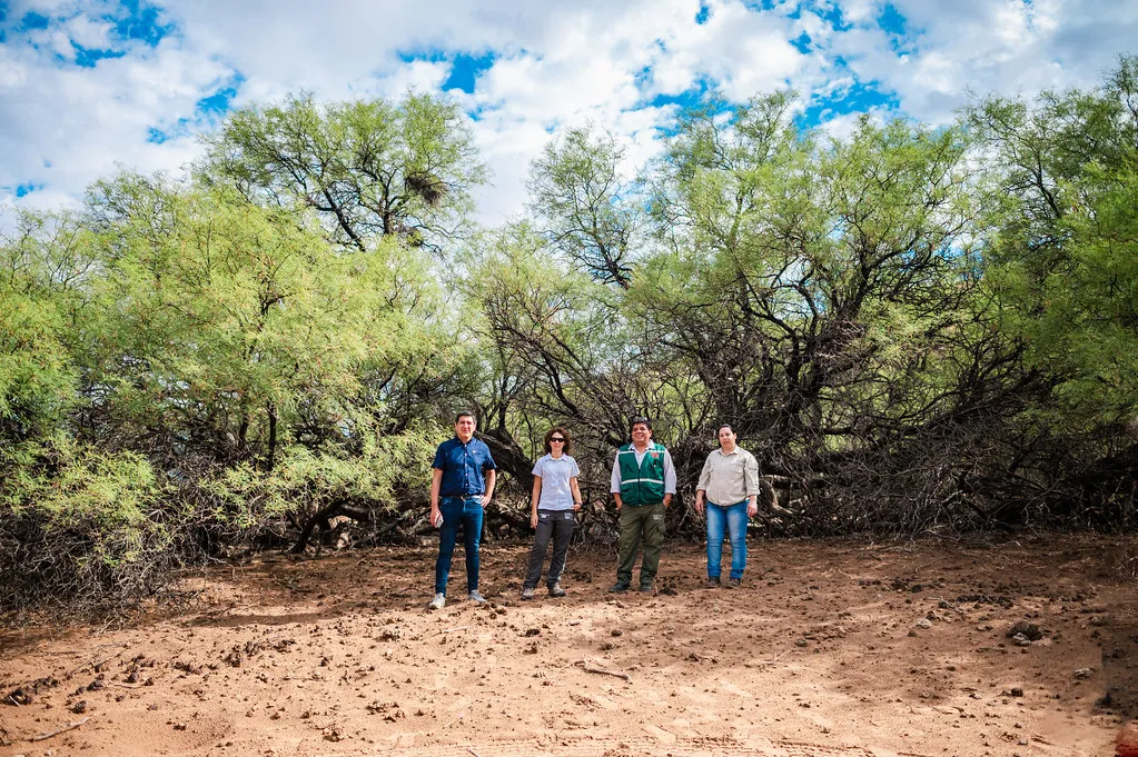 53479355352_17d2cb2f61_b