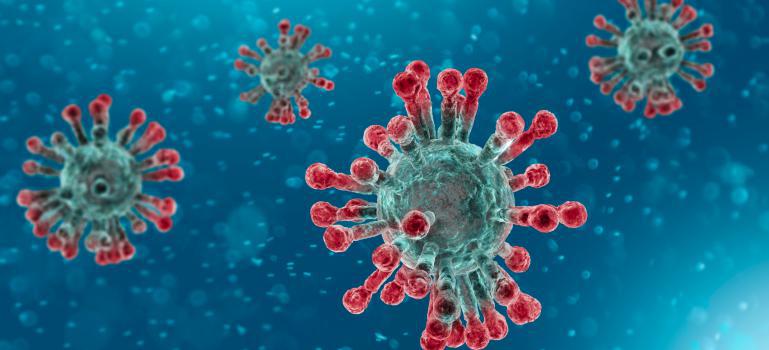 coronavirus