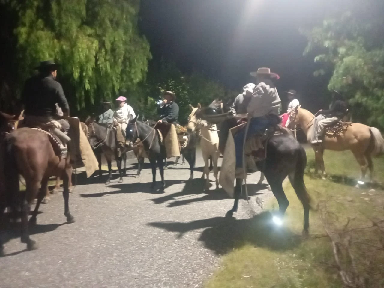 88ba128c-9fef-4931-8262-679ff0fd04aa