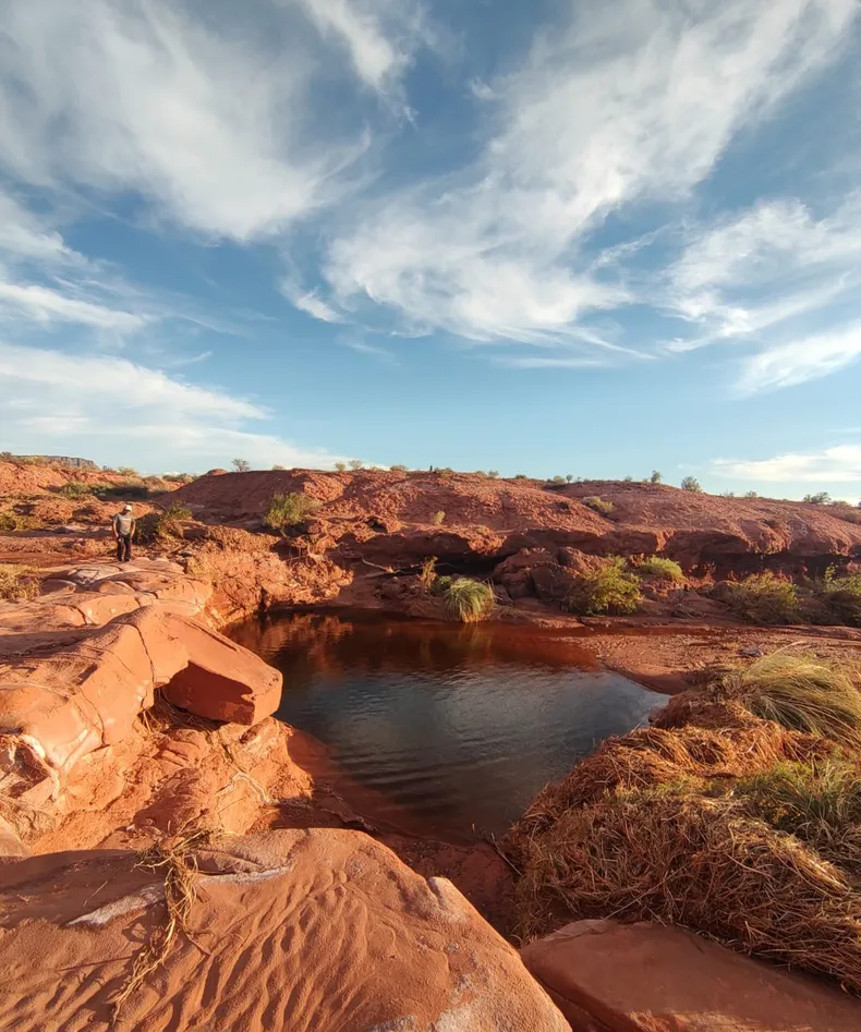 whatsapp-image-2025-03-14-at-004608jpeg