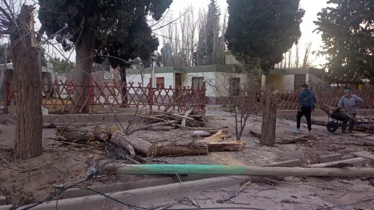 f768x1-315589_315716_5050