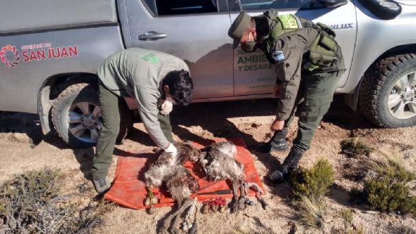 f608x342-130137_159860_31