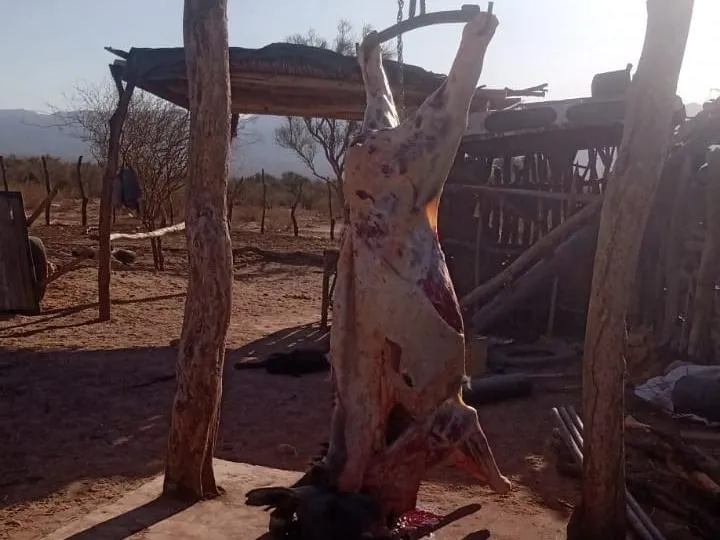burro_crop1661685450782