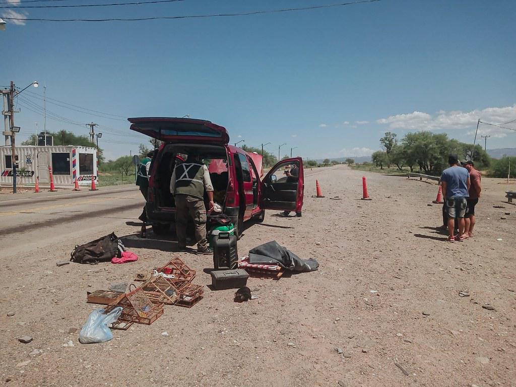 51938333704_9659901009_b