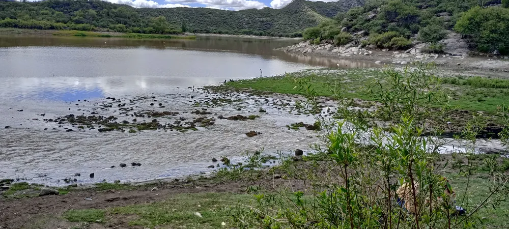 IMG_20250129_110037_HDR