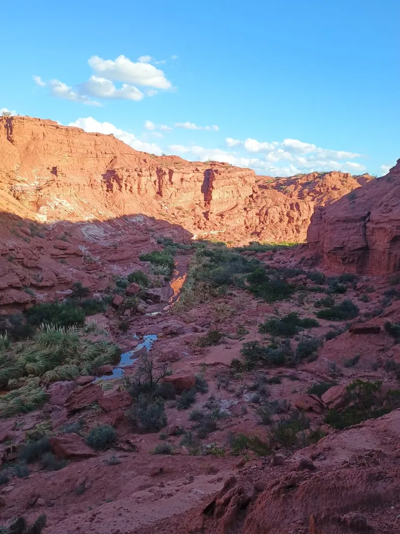 whatsapp-image-2025-03-14-at-004604-1jpeg