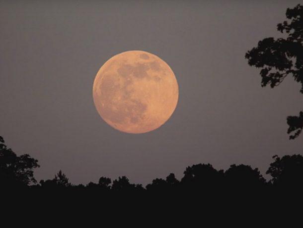 superluna-rosa-abril-610x460-1