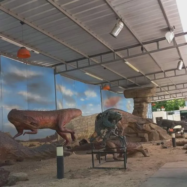 FB_IMG_1732631976563