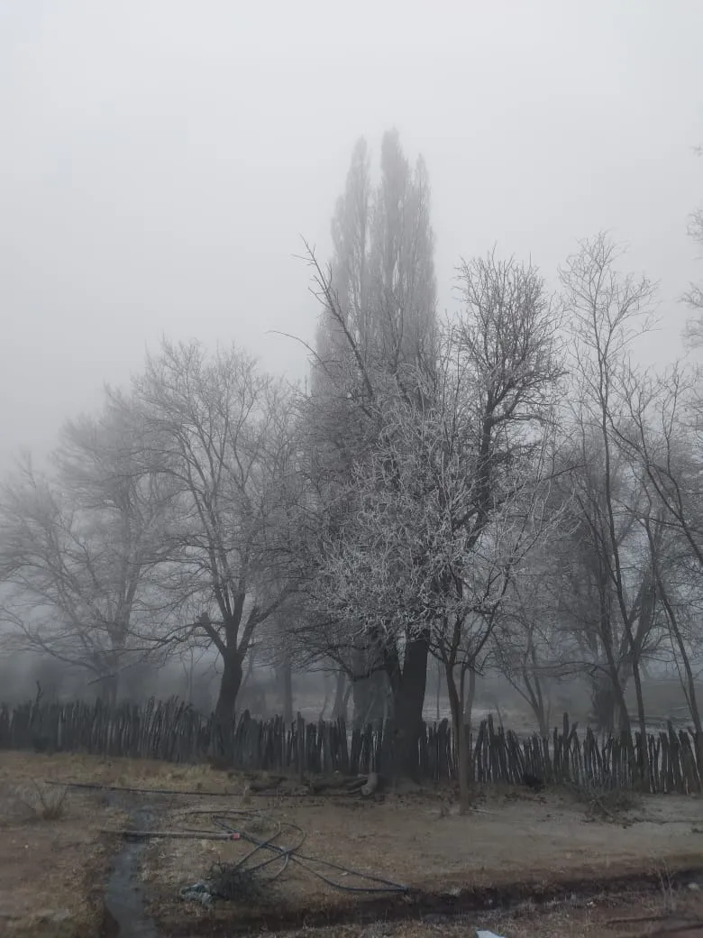 86afeeb6-5626-47d8-a197-d454dbc20f18