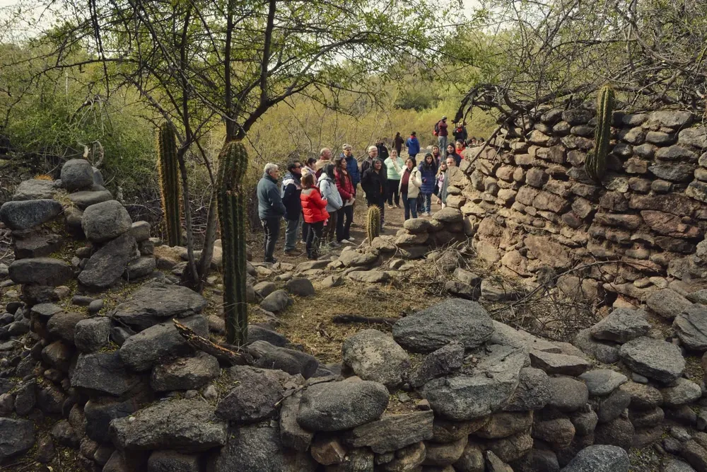 450813764_892759039545720_4819076877998589096_n