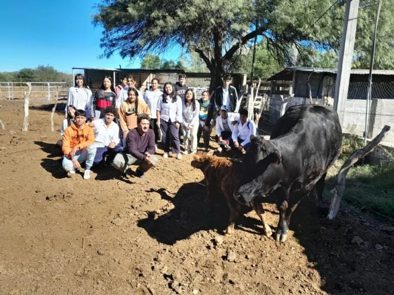 f768x1-374749_374876_5050