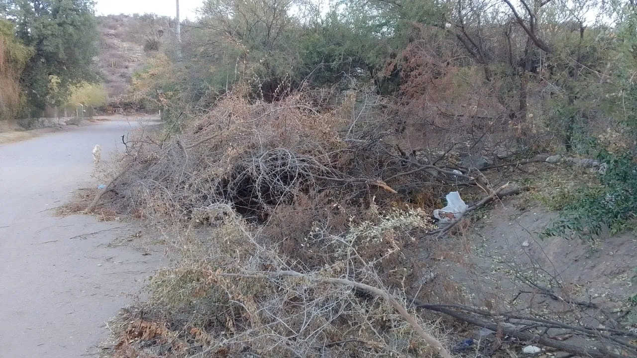 f3ac6e12-c2b8-4fd4-8d1b-51099cf30f14