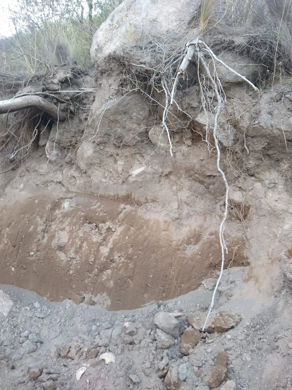 whatsapp_image_2022-11-02_at_21_57_44