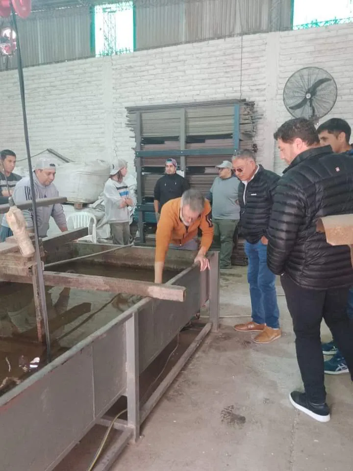 FB_IMG_1715308952758