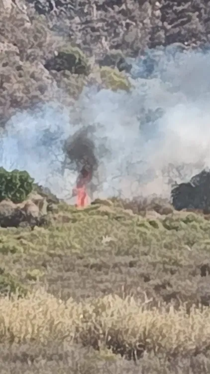 5a76b1c7-6ffe-472b-aba2-4006f608c49f