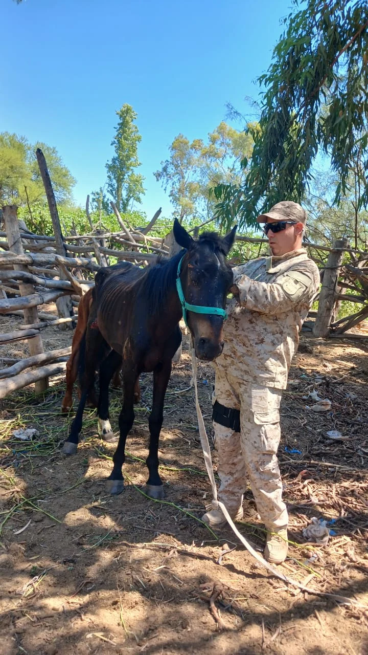 6a6a54b6-e2b5-4177-87ba-841746e098af