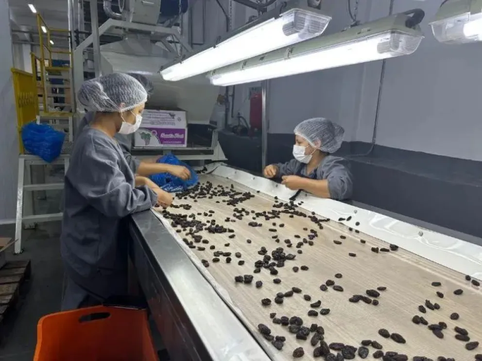 md - 2026-03-20T104030.781