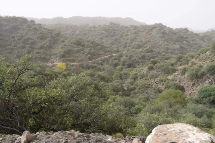 FB_IMG_1714594750292