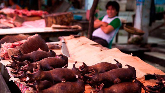 mercado-murcielagos-wuhan-696x391