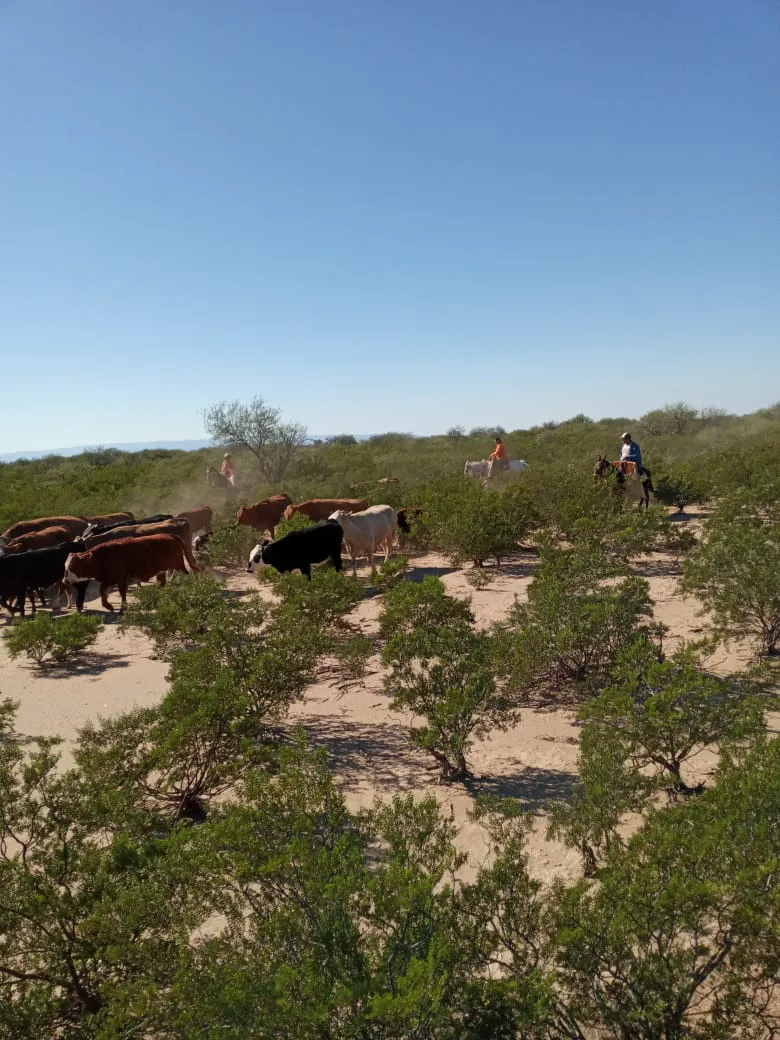 8ecb1ec4-5b23-4c76-bd68-56ee47f83df5