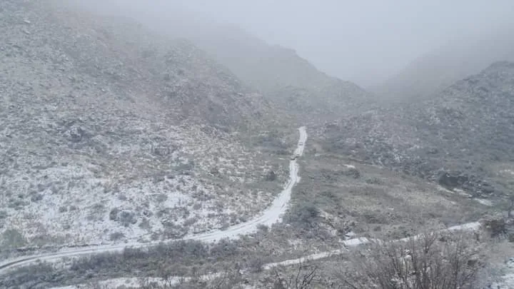 FB_IMG_1716667642719