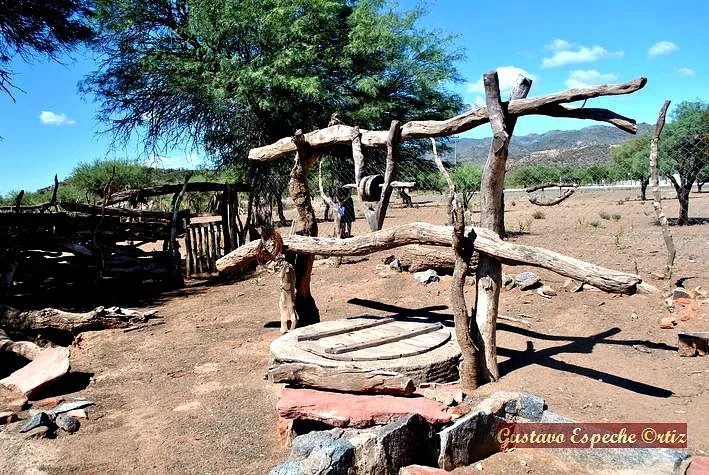 Valle_Fertil_San-Juan_7090