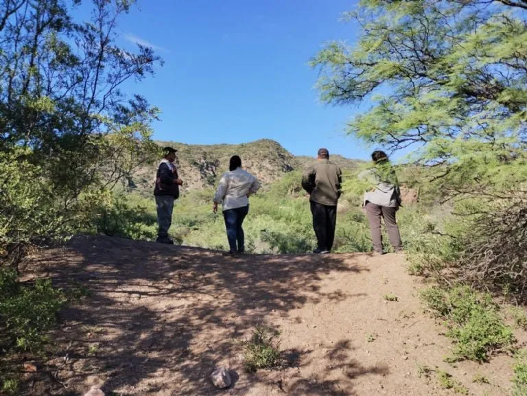 f768x1-371174_371301_5050