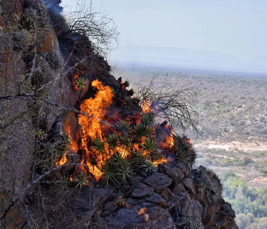 543828331_17890164507344414_837514018381411384_n