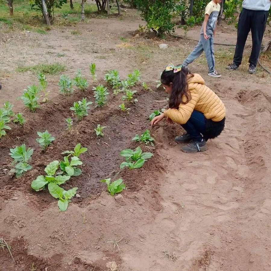 431210860_708512488137442_2404817282011747054_n