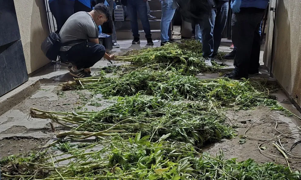 md - 2026-04-03T114115.528