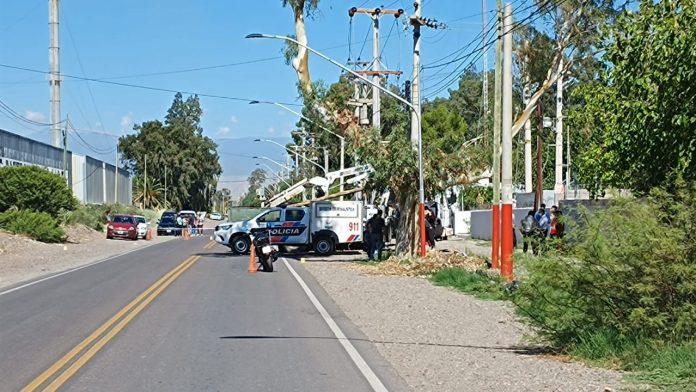 WhatsApp-Image-2022-02-08-at-11.10.51-AM-696x392