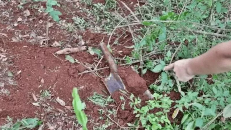 f800x450-278275_329721_5050