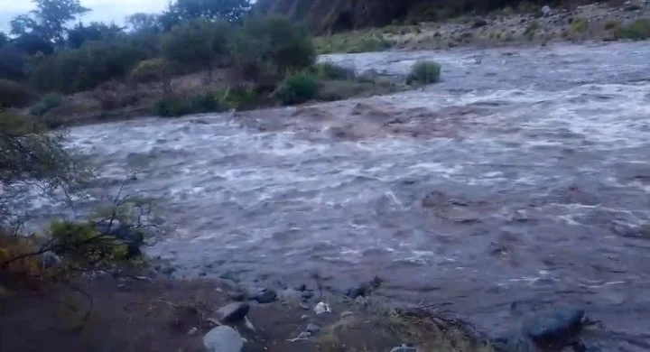 Screenshot_20260305-074421~2