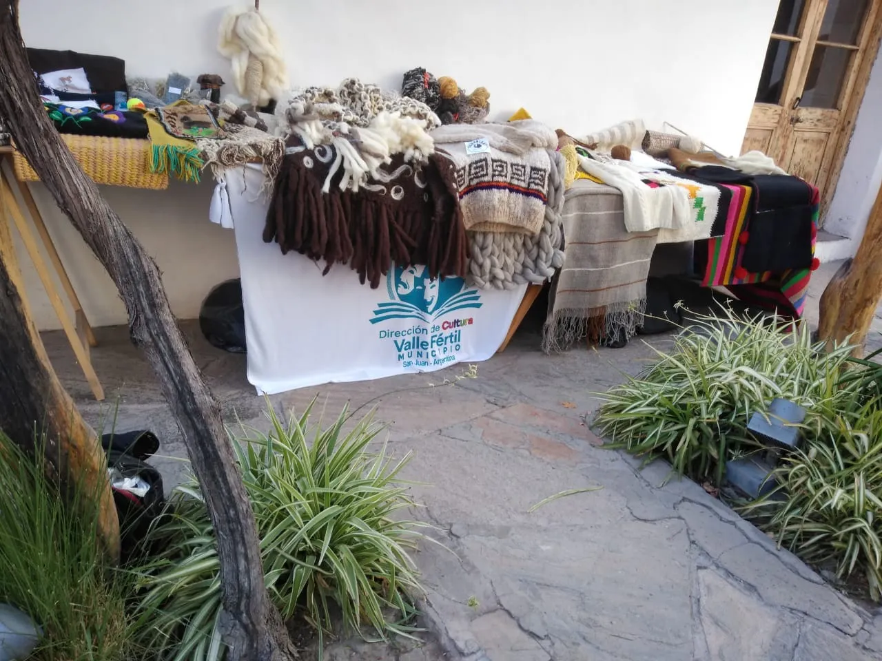 449412917_886448156843475_7311591835213955307_n