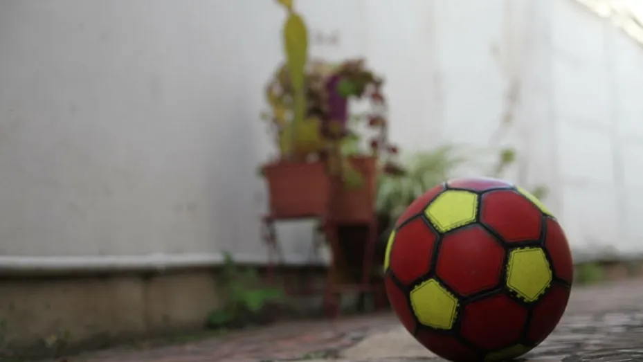 pelota