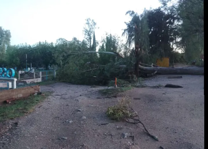 multimedia.normal.b5cc2a59fecc006c.bm9ybWFsLndlYnA=