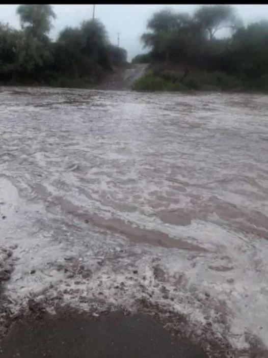 417860687_122165924966007314_953308103452834214_n