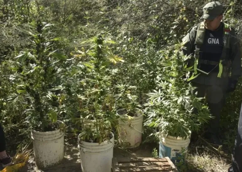 md - 2025-04-30T163629.473