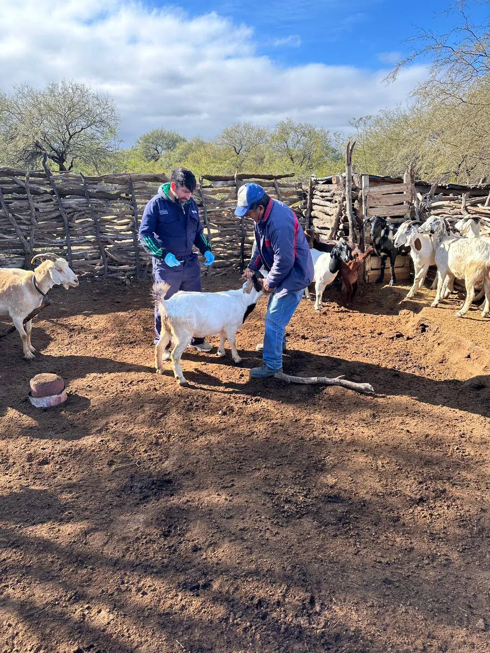 502527877_1126494026172219_2969430387690478698_n