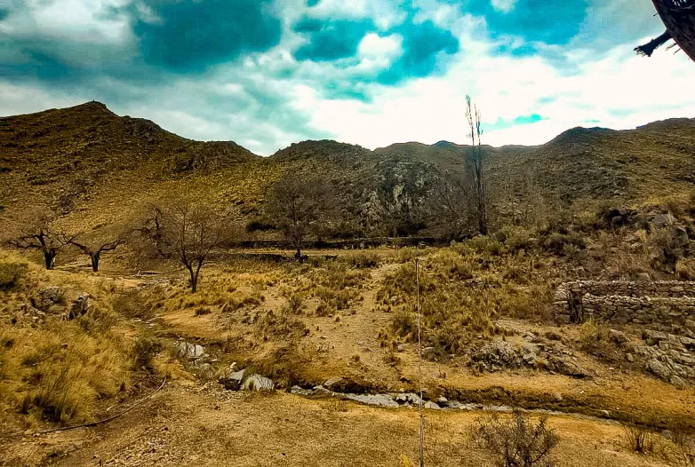 d3602623ebad3eb0fe8f20eb0dc682bd_L