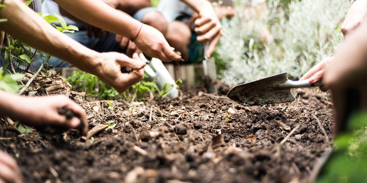 taller-semanal-huerta-agroecologica-germinar-ong-2