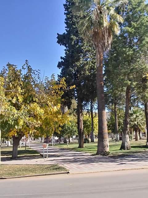 FB_IMG_1590514993726