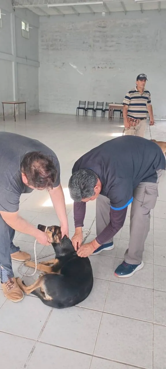 556606293_1228172262671061_4023614103006474844_n